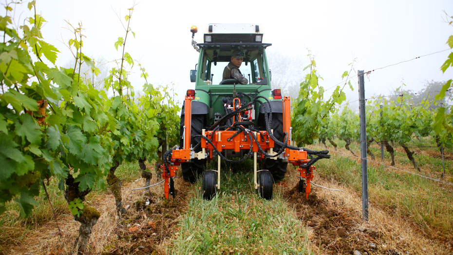Noël Barlet, sur son tracteur, passant une herse mécanique entre ses vignes © Christophe Boulze