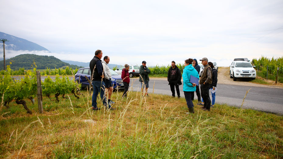 Réunion entre vignerons, en "bout de champ"  © Christophe Boulze